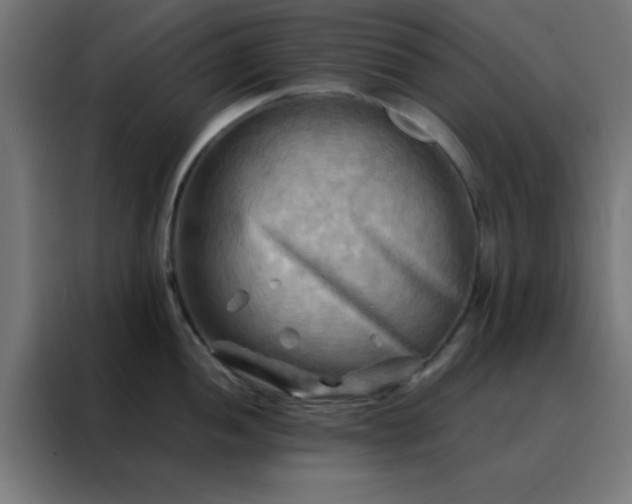 X0000088191052200705221658