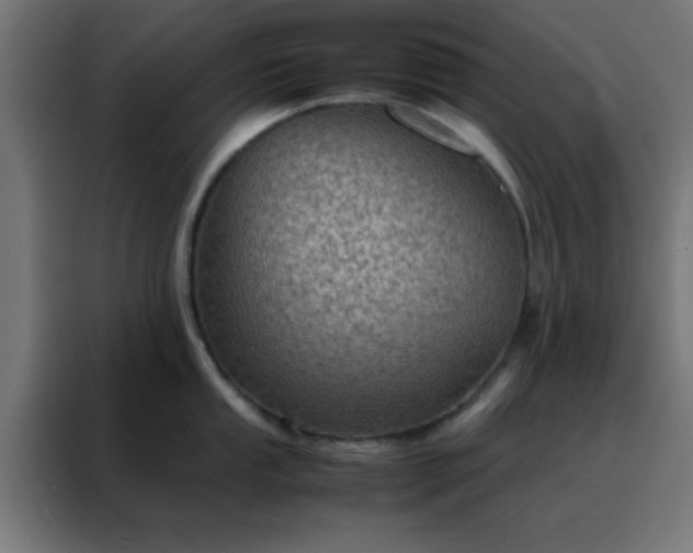X0000088191053200705221658