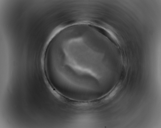 X0000088191054200705221658