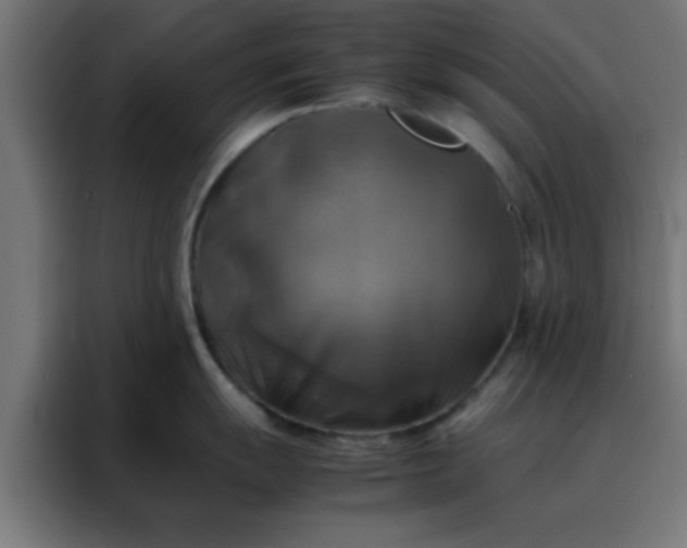 X0000088191055200705221658