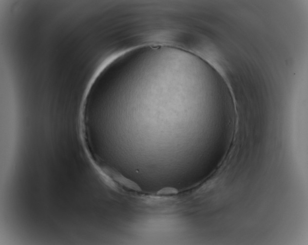 X0000088191056200705221658