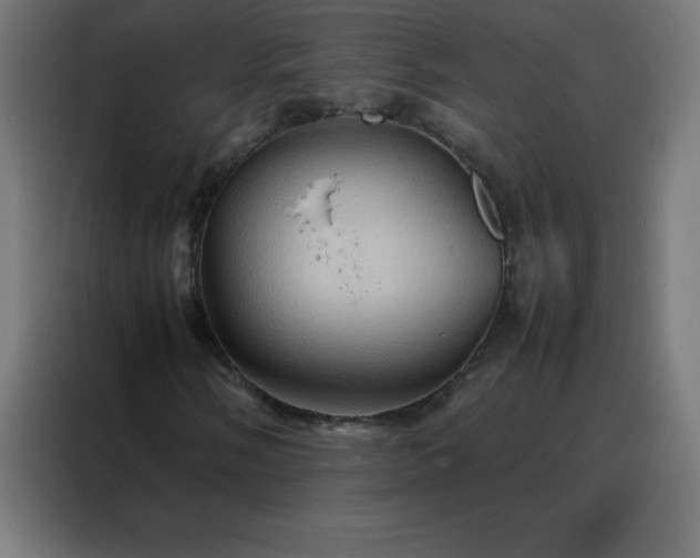 X0000088191058200705221658