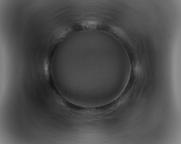 X0000088191060200705221658