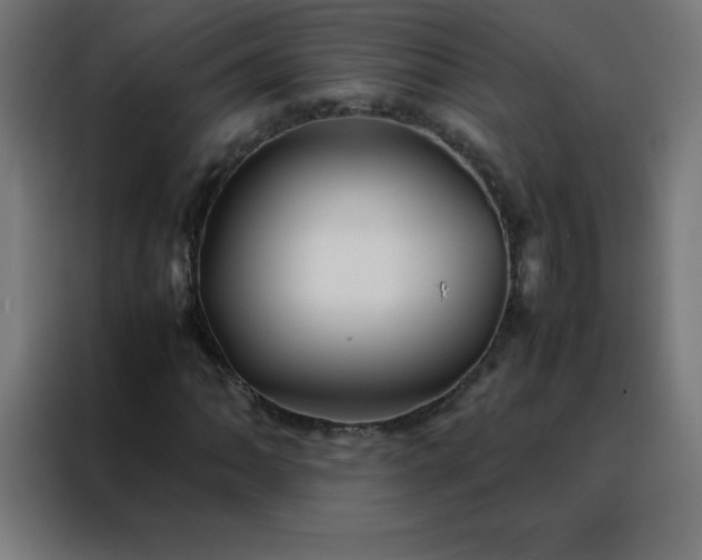 X0000088191062200705221658
