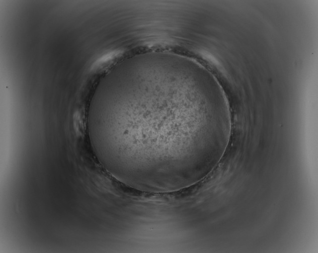 X0000088191063200705221658