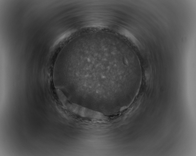 X0000088191064200705221658