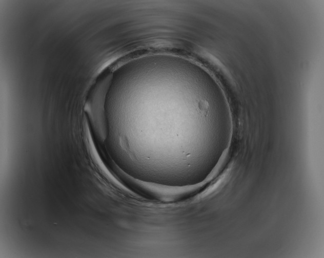 X0000088191065200705221658