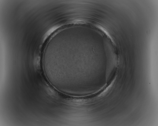 X0000088191066200705221658