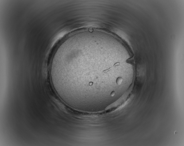X0000088191067200705221658