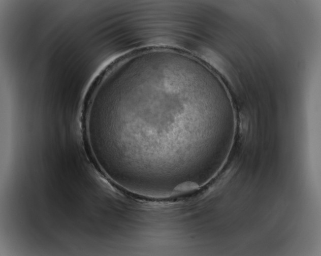 X0000088191068200705221658
