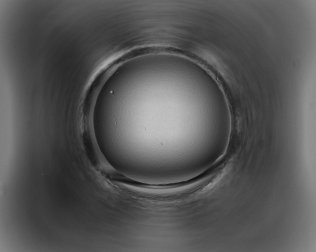 X0000088191069200705221658