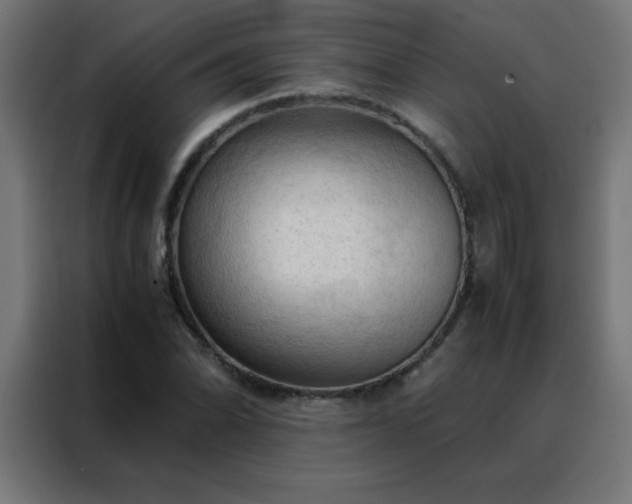 X0000088191070200705221658