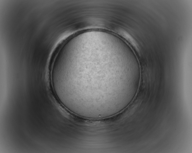 X0000088191072200705221658