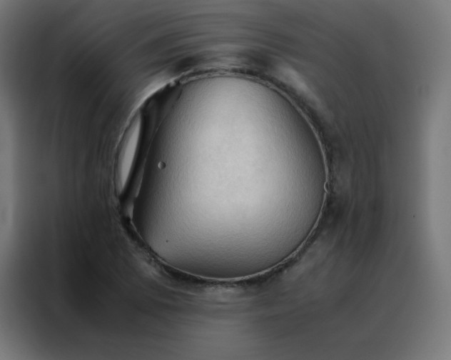 X0000088191073200705221657