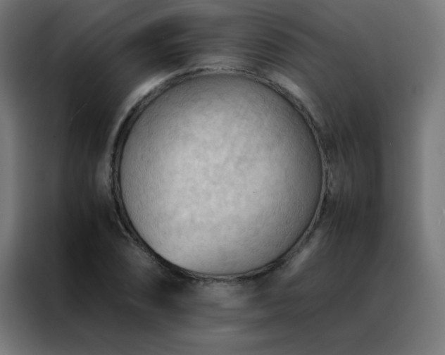 X0000088191074200705221657