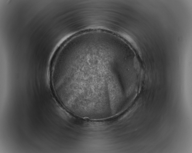 X0000088191076200705221657