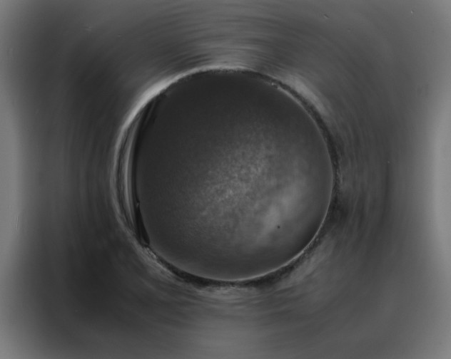 X0000088191077200705221657