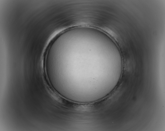 X0000088191078200705221657