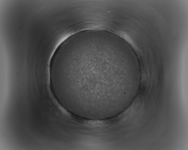 X0000088191079200705221657