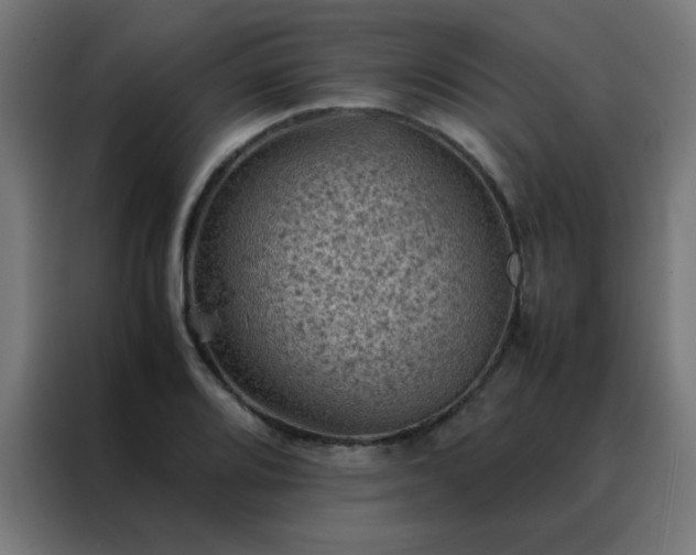 X0000088191080200705221657