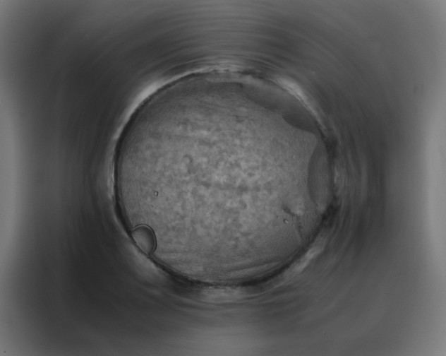 X0000088191083200705221657