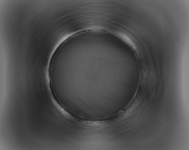X0000088191084200705221657