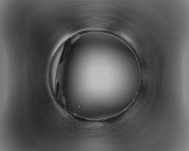 X0000088191085200705221657