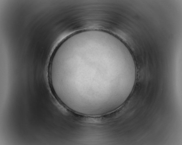X0000088191086200705221657