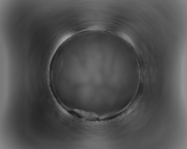 X0000088191087200705221657