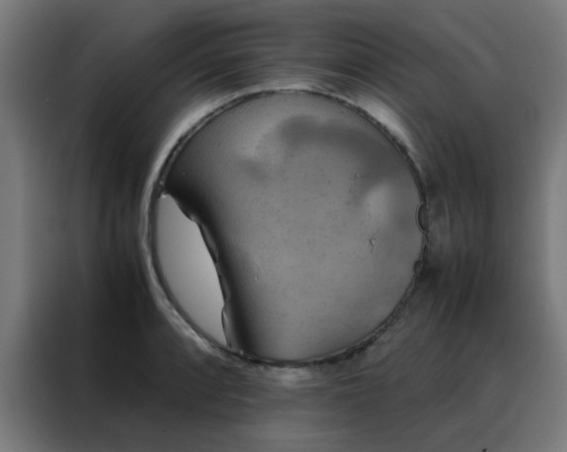 X0000088191088200705221657
