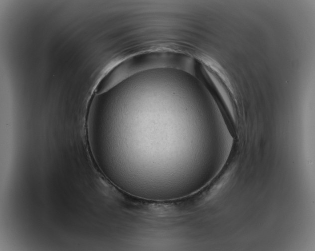 X0000088191089200705221657