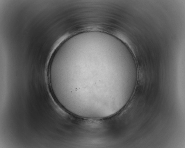 X0000088191090200705221657