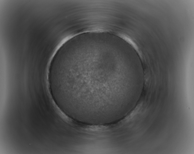X0000088191091200705221657