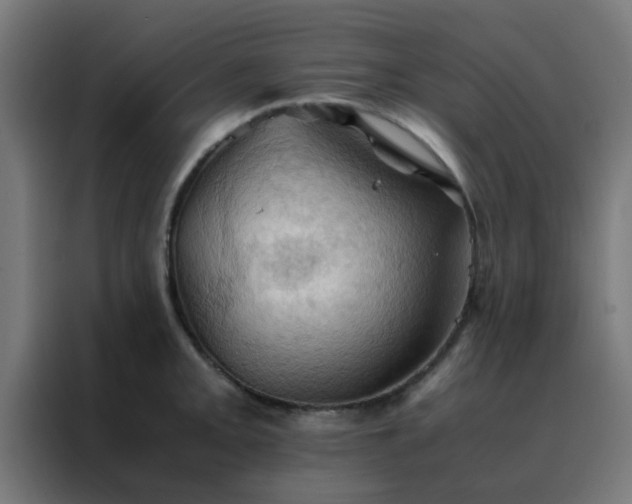 X0000088191093200705221657