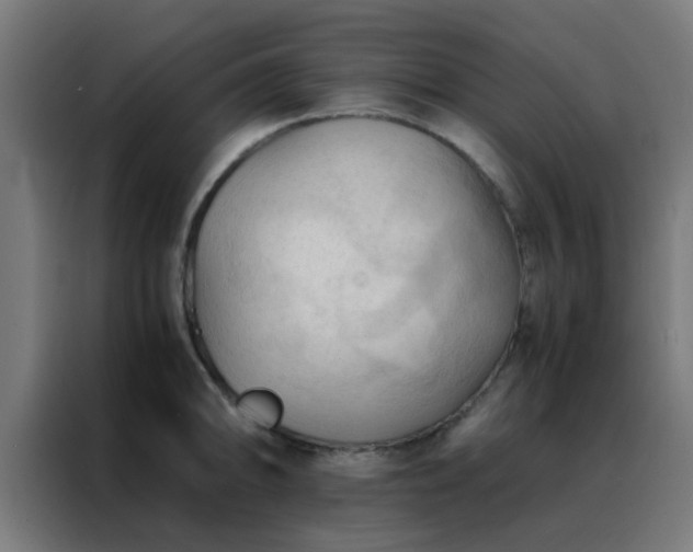 X0000088191094200705221657