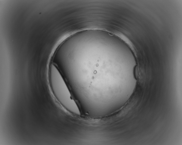 X0000088191096200705221657
