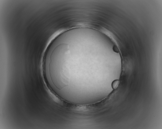 X0000088191098200705221657