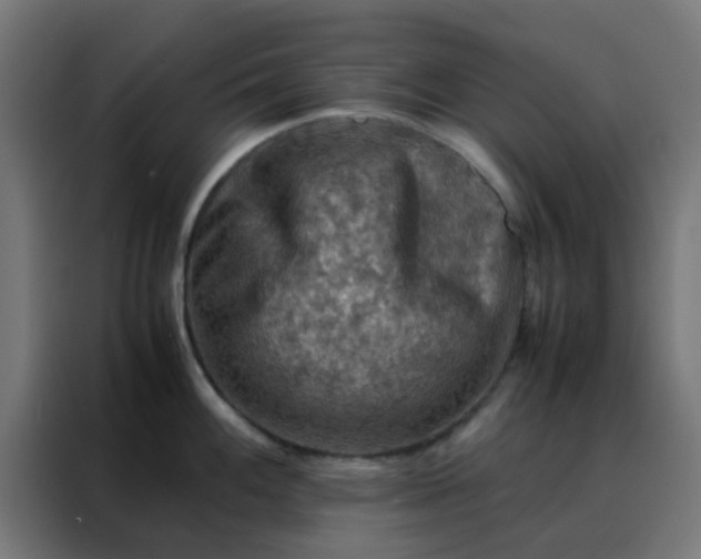 X0000088191100200705221657