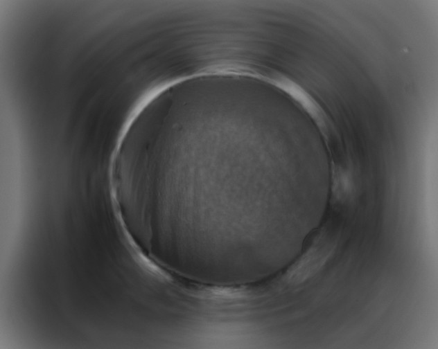 X0000088191102200705221657