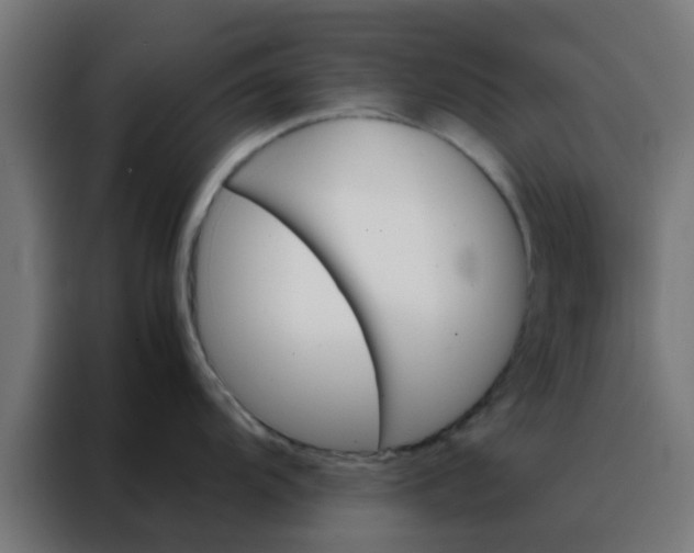 X0000088191104200705221657
