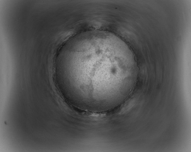 X0000088191105200705221656