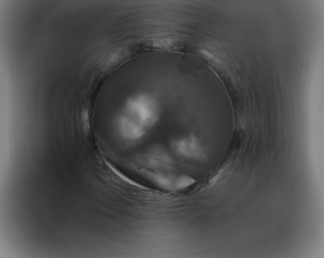 X0000088191106200705221656