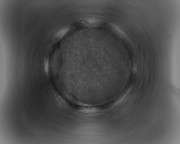 X0000088191108200705221657