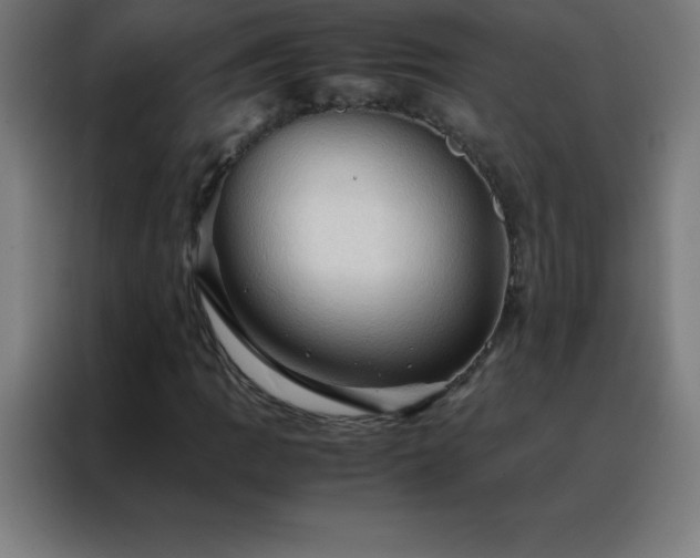 X0000088191109200705221657