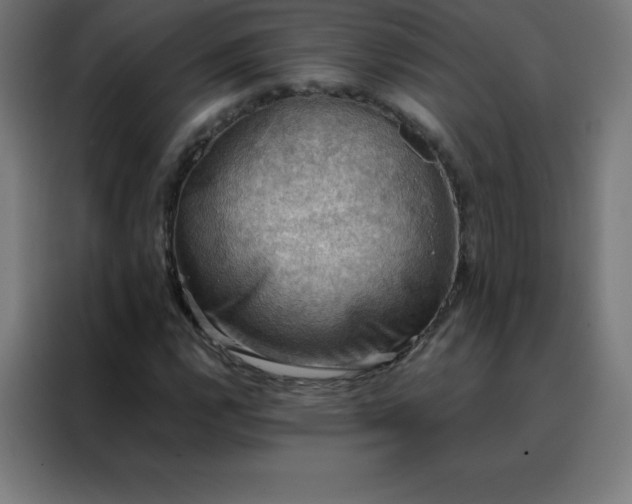 X0000088191112200705221657