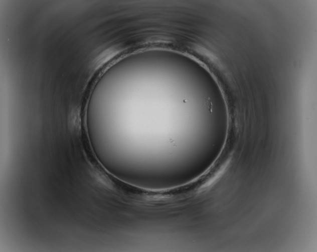 X0000088191113200705221657