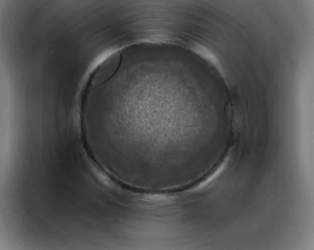X0000088191114200705221657
