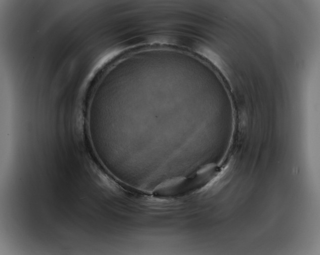 X0000088191115200705221657