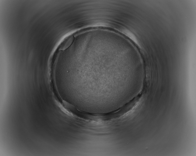 X0000088191116200705221657