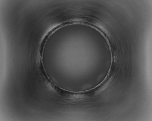 X0000088191117200705221657